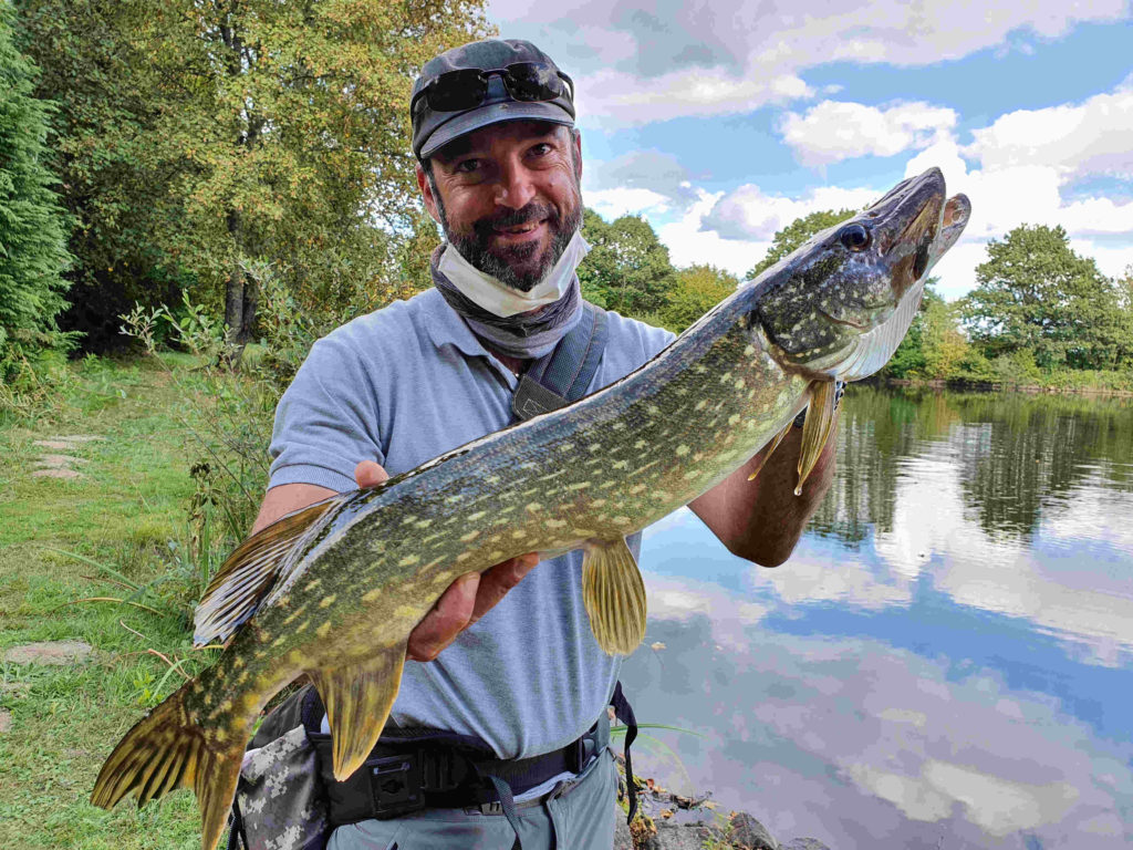 Brochet de Loire
